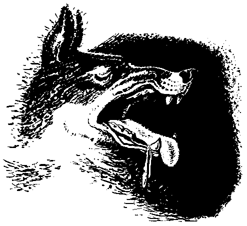 Первые испытания (с илл.) pic_19.png
