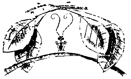 Первые испытания (с илл.) pic_9.png
