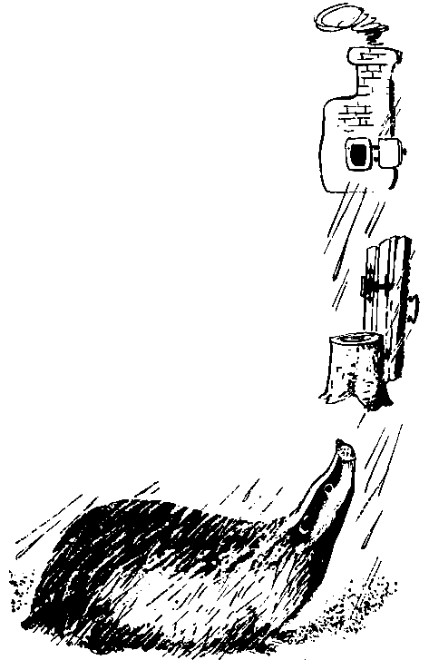 Первые испытания (с илл.) pic_20.png