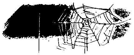 Первые испытания (с илл.) pic_23.png