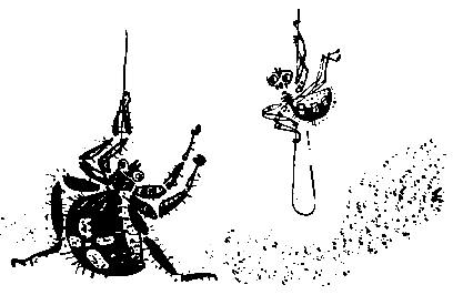 Первые испытания (с илл.) pic_24.png