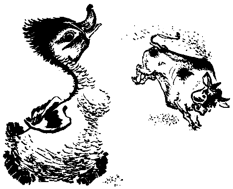 Первые испытания (с илл.) pic_25.png