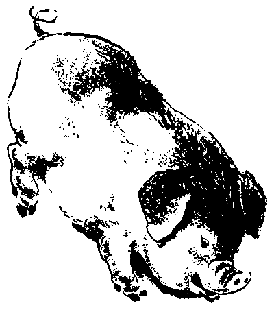 Первые испытания (с илл.) pic_27.png