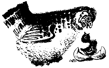 Первые испытания (с илл.) pic_28.png