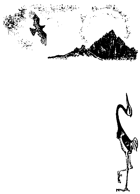 Первые испытания (с илл.) pic_29.png