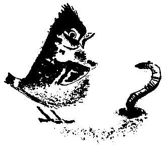 Первые испытания (с илл.) pic_31.png