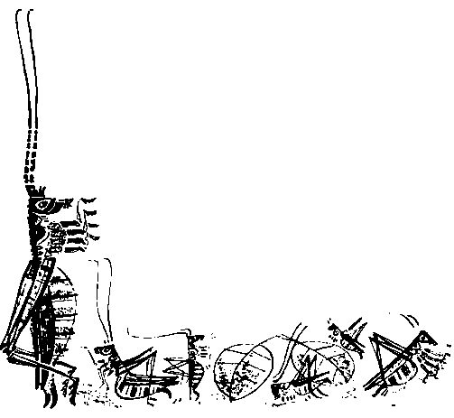 Первые испытания (с илл.) pic_32.png