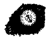 Первые испытания (с илл.) pic_34.png