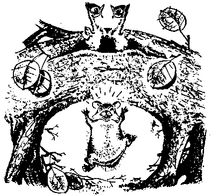 Первые испытания (с илл.) pic_35.png