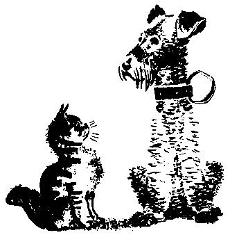 Первые испытания (с илл.) pic_39.png