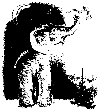 Первые испытания (с илл.) pic_45.png