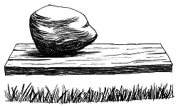 Тайны биологии i_001.png