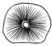 Тайны биологии i_007.png_0