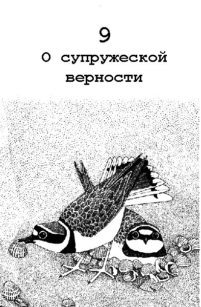 Бегство от одиночества i_068.png