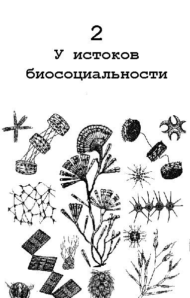 Бегство от одиночества i_011.png
