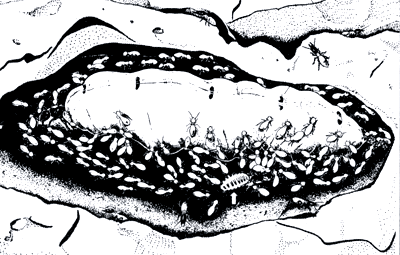Бегство от одиночества i_116.png