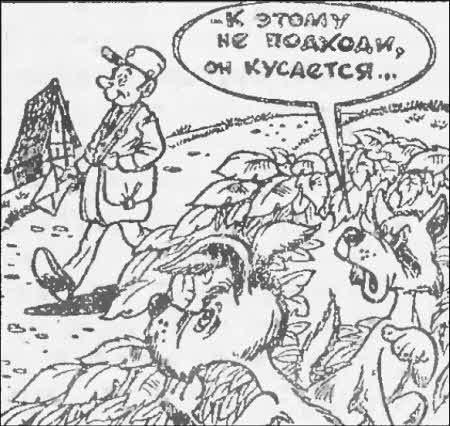 Искатель. 1997. Выпуск №5 i_008.jpg