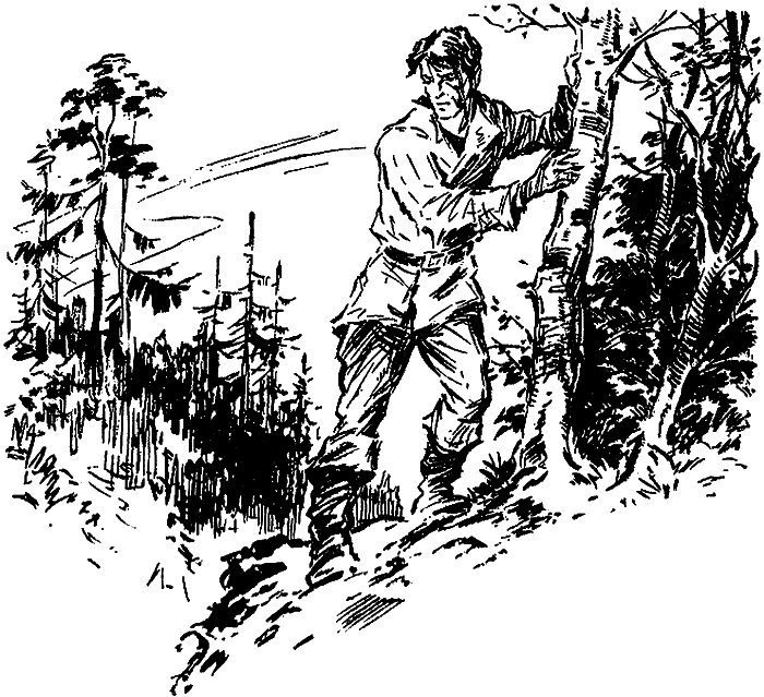 Искатель. 1974. Выпуск №4 i_010.png