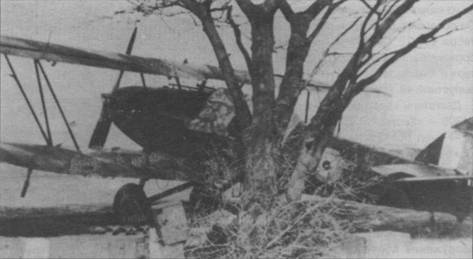 Ближние разведчики, корректировщики и штурмовики 1939-1945 pic_45.jpg