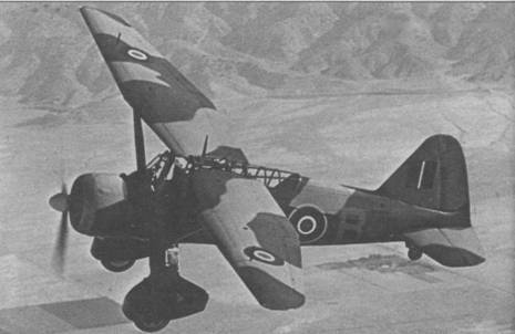 Ближние разведчики, корректировщики и штурмовики 1939-1945 pic_75.jpg