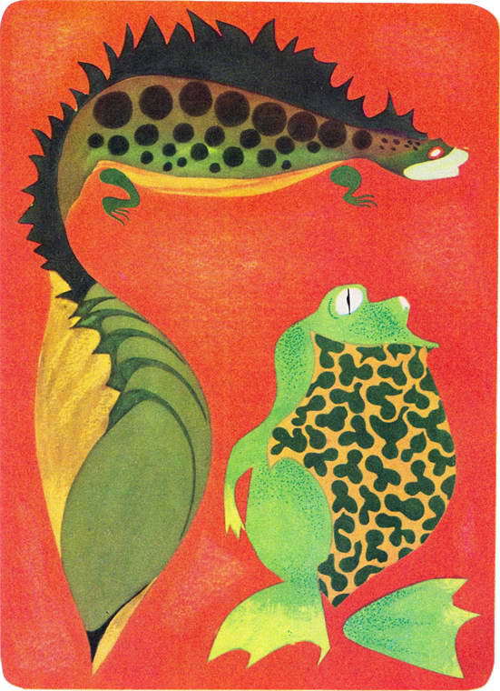 Рассказы о змеях, крокодилах, черепахах, лягушках, рыбах i_029.jpg