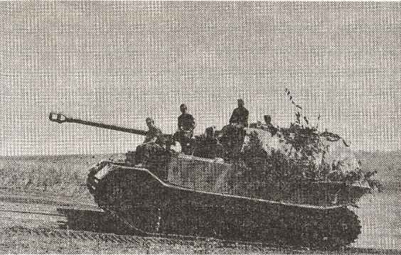 «Тигры» горят! _9.jpg