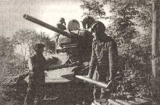 «Тигры» горят! _18.jpg