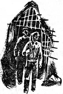 Бамбук шумит ночью bamb0004.jpg