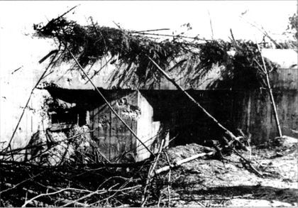 Трагедия Брестской крепости. Антология подвига. 22 июня - 23 июля 1941 года i_025.jpg