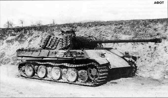 Бои у озера Балатон. Январь–март 1945 г. i_133.jpg