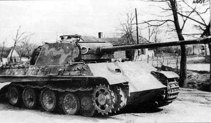 Бои у озера Балатон. Январь–март 1945 г. i_148.jpg