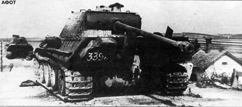 Бои у озера Балатон. Январь–март 1945 г. i_183.jpg