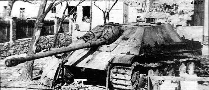 Бои у озера Балатон. Январь–март 1945 г. i_187.jpg