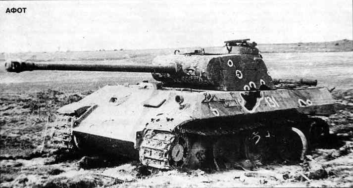 Бои у озера Балатон. Январь–март 1945 г. i_027.jpg