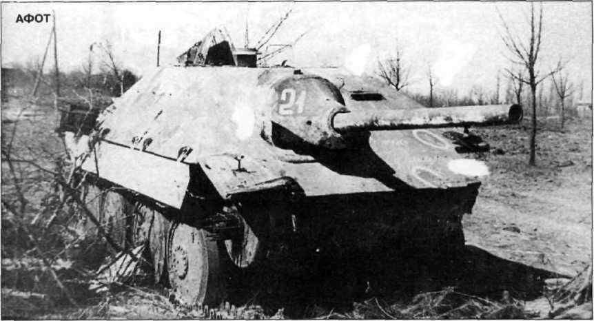 Бои у озера Балатон. Январь–март 1945 г. i_031.jpg