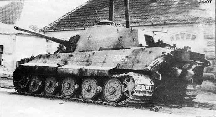 Бои у озера Балатон. Январь–март 1945 г. i_044.jpg