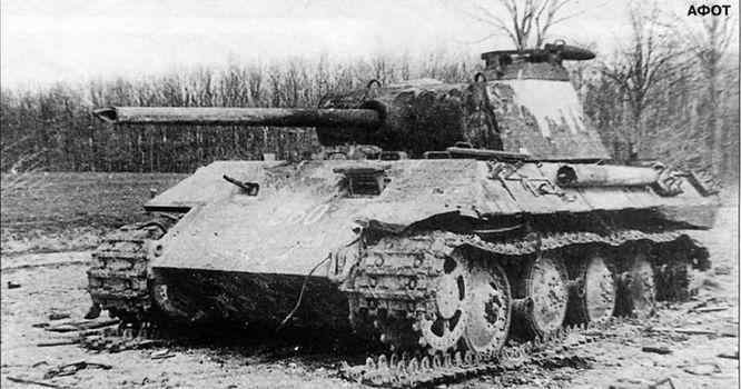 Бои у озера Балатон. Январь–март 1945 г. i_102.jpg