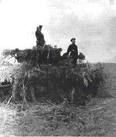 Бои у озера Хасан 29 июля – 11 августа 1938 года _90.jpg