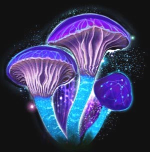 Пройти по краю i_010.jpg