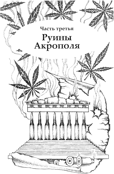 Секрет ассасинов img_03.png
