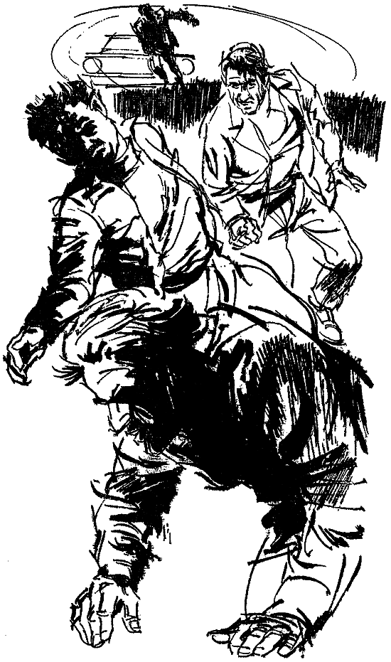 Искатель. 1976. Выпуск №2 i_011.png