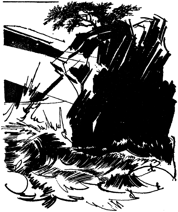 Искатель. 1978. Выпуск №2 i_004.png