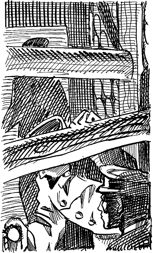 Искатель. 1974. Выпуск №6 i_012.png