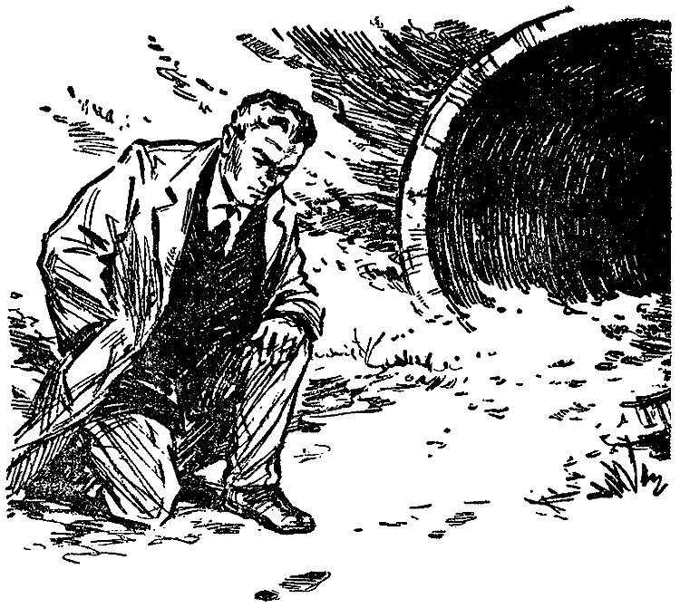 Искатель. 1973. Выпуск №6 i_007.png