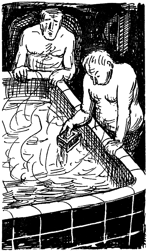 Искатель. 1973. Выпуск №4 i_025.png