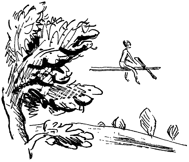 Искатель. 1973. Выпуск №4 i_007.png