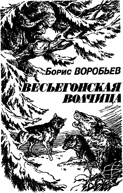 Искатель. 1961–1991. Выпуск 2 i_017.png