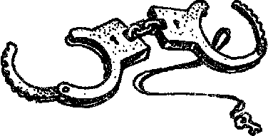 Искатель. 1961-1991. Выпуск 1 i_005.png