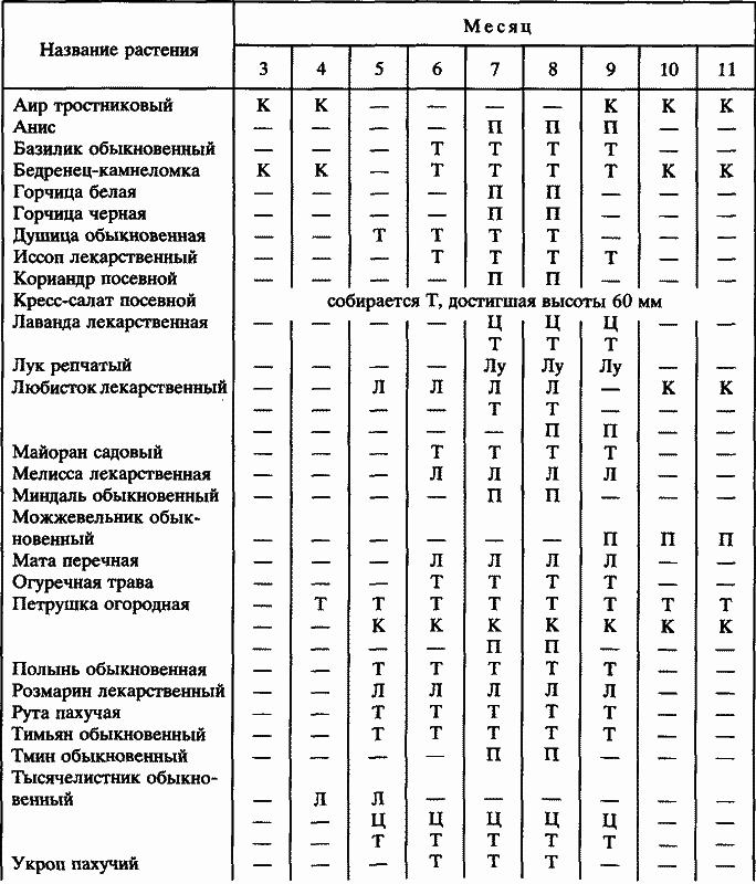 Пряности i_002.png