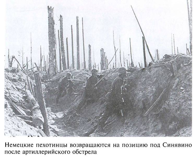 По обе стороны блокадного кольца i_006.jpg